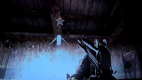Cod Black ops motion sensor glitch on Drive In Hangar 18 and Hazard