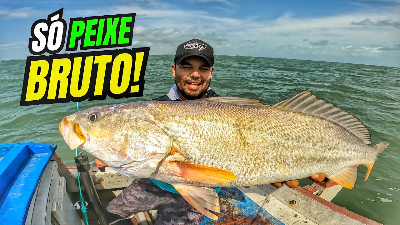 INCRÍVEL! ESSA ISCA SÓ PEGOU PEIXE MONSTRO! O RESULTADO FOI IMEDIATO! 