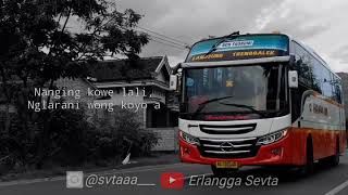 Story WhatsApp Pamer Bojo versi reggae