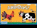 Animals for kids  animated read aloud kids books  vooks narrated storybooks