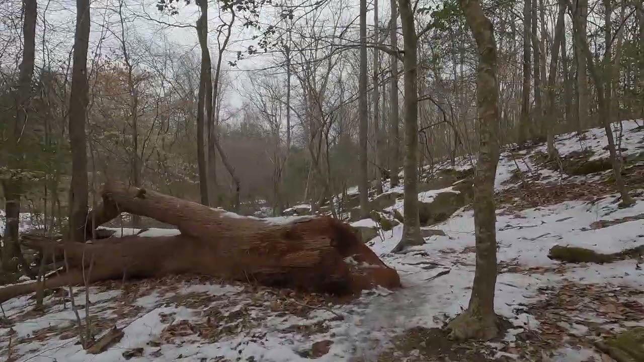 Roaming Through the Icy Snow Remnants at Rockwood Park