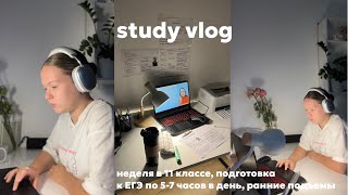 : study vlog //   11 ,     5-7   ,  