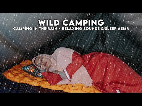 WILD CAMPING IN THE RAIN • RELAXING SOUNDS • RELAXATION & SLEEP ASMR