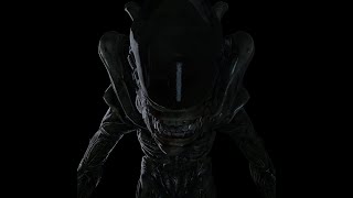 Xenomorph Idle 3d Animation (Dead by Daylight style)