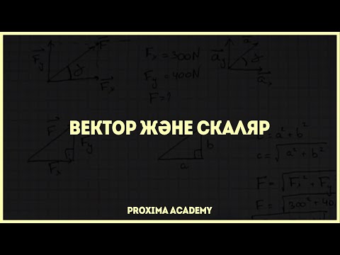 Бейне: Физикада вектор және скаляр дегеніміз не?