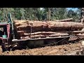 6x6 Timber Truck Stuck In The Mud