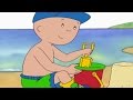 CAILLOU 1 HOUR Full Episodes | Caillou At The Beach | Videos For Kids