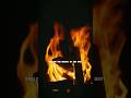 Cozy Fireplace Crackling – Warm Fire Sounds for Deep Relaxation 🔥