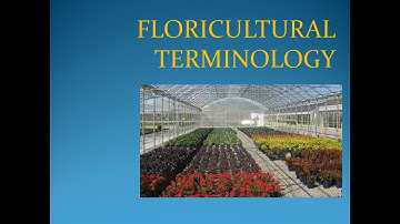 Floriculture part 2