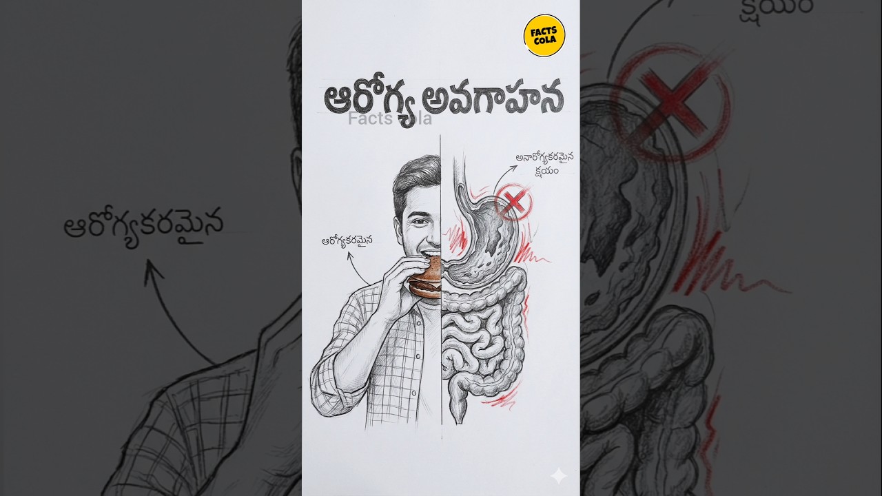 బర్గర్ తింటున్నావా? అది అరగట్లేదు.. కడుపులో కుళ్లిపోతోంది! 🍔🤢 (Rotting Inside)|