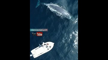 قرآن كريم بصوت الشيخ احمد العجمي 💞حالات واتساب دينية 🍁 مقاطع انستقرام 💯مقاطع دينية 💞 ارح سمعك 👌