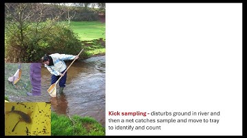 Sampling techniques OCR A A-Level Biology Revision 6.3.1 Ecosystems