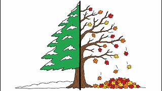 Every Tree Makes This Decision Every Year
