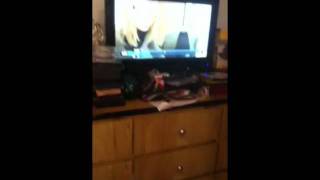 The Absolute Funniest Thing I've Ever I Seen On The Office