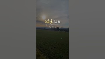 إن وعد الله حق😴❤️قرآن كريم بصوت جميل جدا❤️حالات واتس اب دينية قصيرة#القارئ ياسر الدوسري