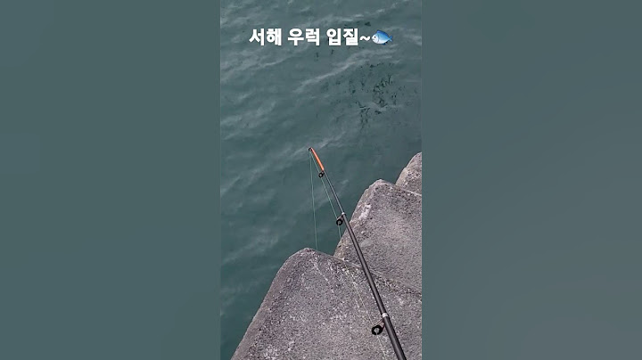 서해 낚시 우럭 입질 대박영상 우럭포인트 공개