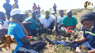 SARRY MBODJ Dans les coulisses de BOULÉL HOMMAGE À  SERIGNE PAPE MALICK SY