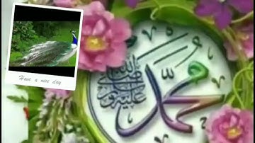 بصوت عالي الجودة الشيخ عبد الله كامل HD يغرد ماتيسر من القرآن الكريم