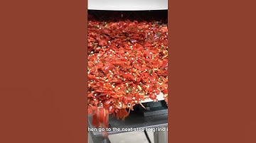 Thumbnail of Proses Pembuatan Saus Sambal-dari cabai hingga saus