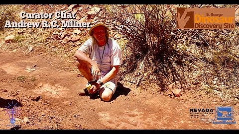 Virtual Field Trip: Curator Chat with Andrew R.C. Milner Dinosaur Discovery Site Saint George, UT