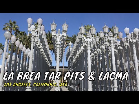 La Brea Tar Pits And LACMA - Los Angeles CA USA | Travel Vlog