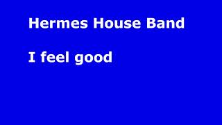 Hermes House Band I feel good