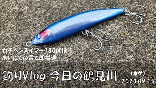 シーバス釣りVlog 今日の鶴見川 2023年9月15日(ホゲ)ガチペンスイマー180の試投!