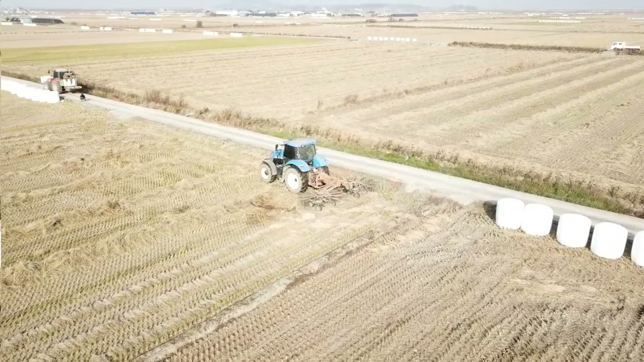 2021 김제평야 조사료작업(공룡알) 1편 집초작업! 풀영상
