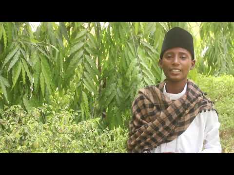 Sabon Videon ALIYU HAIDAR Girman Ma Aiki Baffaakbastv