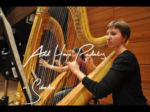 Sibelius - Top Plugins // Speed up your Harp writing!