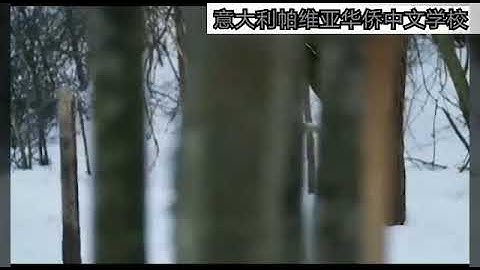 中国华文教育基金会实景课堂猴子捞月