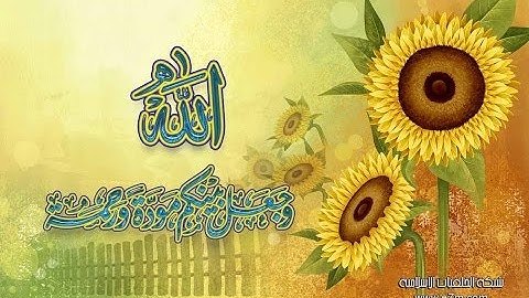 تلاوة رائعة سورة فاطر امام الحرم الشيخ بندر بليلة www.qoranet.net