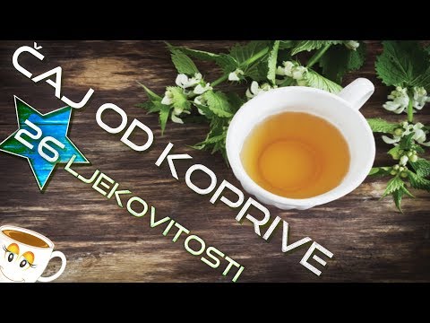 Čaj od koprive 🌿 sve dokazane ljekovitosti i nuspojave