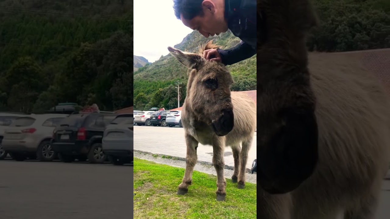 ¡Parque Nacional Cajas!  