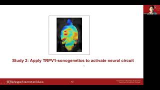 Yaoheng Yang: TRPV1-Mediated Sonogenetics for Noninvasive and Cell-Type-Specific Control of Neurons