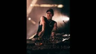 Heeriye - Dj Mandragora mix [ Full Version]