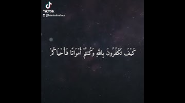 كَيْفَ تَكْفُرُونَ بِاللَّهِ وَكُنتُمْ أَمْوَاتًا فَأَحْيَاكُمْ #سورة_البقرة