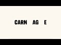 Nick Cave & Warren Ellis - Carnage (Lyric Video)