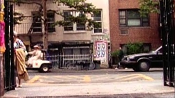 Dinosaur Jr - Feel The Pain