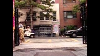Dinosaur Jr - Feel The Pain