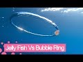 Jellyfish goes for a spin after wrapping itself around bubble ring.