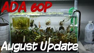 Ada 60 P August Update 080914 - Buce Farming