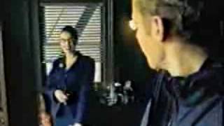 Lynx Effect Pied Pier