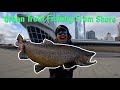 Urban trout fishing from shore
