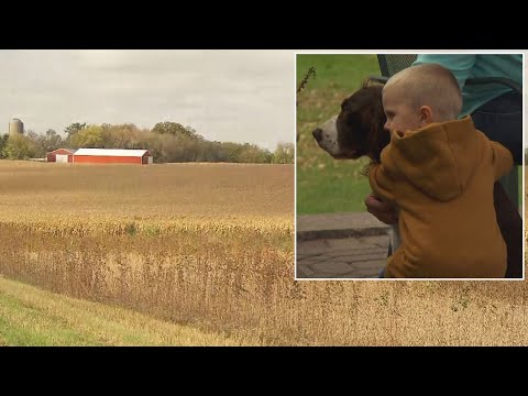 Video: Pet Scoop: Loial Dog Sticks cu copilul dispărut, casa furate de Crăciun pentru Crăciun