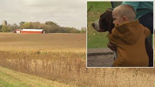 Loyal Dog Stays With Little Boy Who Was Lost in Cornfield For Hours