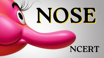 Neuzen - Engels gedicht klas 4 | Zingen en dansen | NCERT Marigold Unit 2