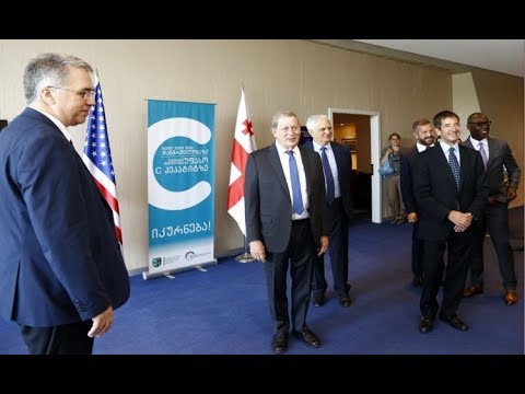 „გილეადის“ ხელმძღვანელობა ჯანდაცვის მინისტრს შეხვდა