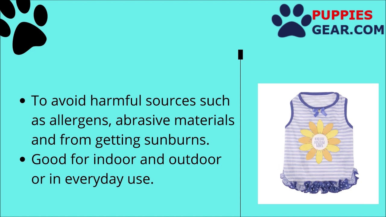 Vibrant Life Radiate Positive Vibes Dog Dress, Blue, Small | Dog Clothes