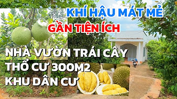Chị Hoa cần bán đất vườn để trả nợ, có nhà cấp 4 sẵn, gần các tiện ích ở BRVT